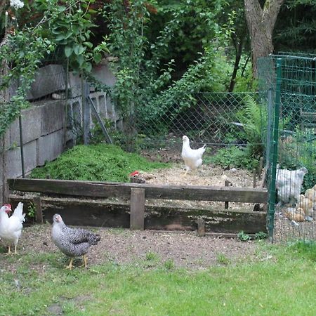 Ferienwohnung Auszeit ドルンビルン エクステリア 写真